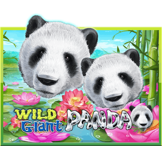 Wild Glant Panda